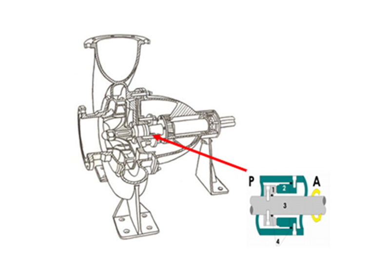 Spaccato pompa a trascinamento magnetico